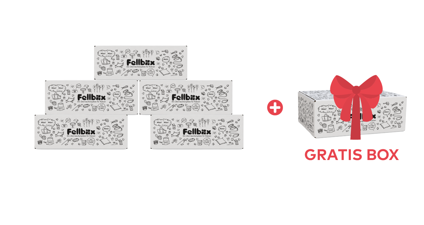 Jahresabo – 6 Boxen